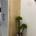 Cactus アパートホテル 3*