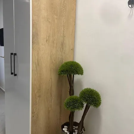 Cactus Aparthotel 3*