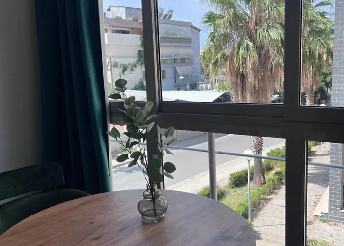 Cactus 3*