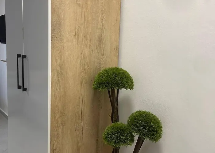 Cactus Appart hôtel 3*