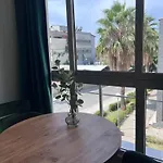Cactus 3*
